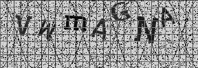 Visual Confirmation Security Code