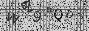 Visual Confirmation Security Code