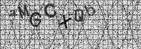 Visual Confirmation Security Code