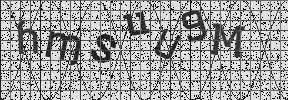 Visual Confirmation Security Code