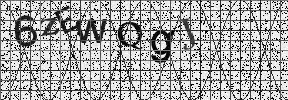 Visual Confirmation Security Code