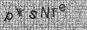 Visual Confirmation Security Code