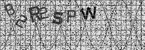 Visual Confirmation Security Code