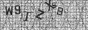 Visual Confirmation Security Code