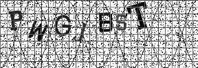 Visual Confirmation Security Code