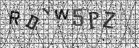 Visual Confirmation Security Code