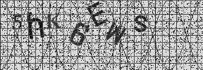 Visual Confirmation Security Code