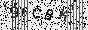 Visual Confirmation Security Code